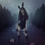 Black Rabbit