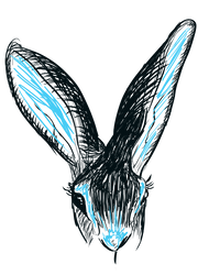 Belgian Hare2