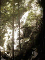 Berry Creek Waterfall