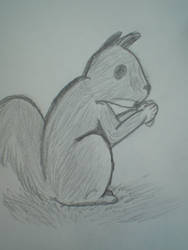 Squirrel