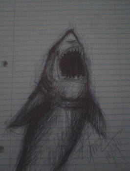 shark scribble doodle