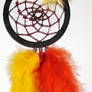 Phoenix dream catcher