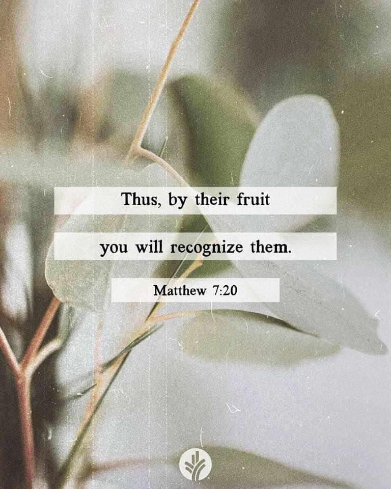 Matthew 7:20 by KingStark815 on DeviantArt