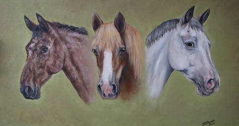 Triple horse portrait 