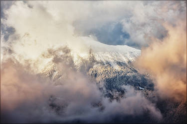 Pokljuka: These Mist Covered Mountains