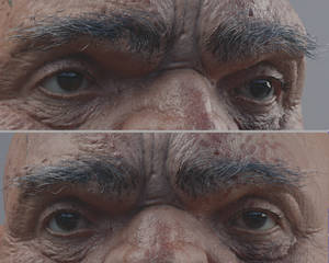 Ogre Eye brow Progress