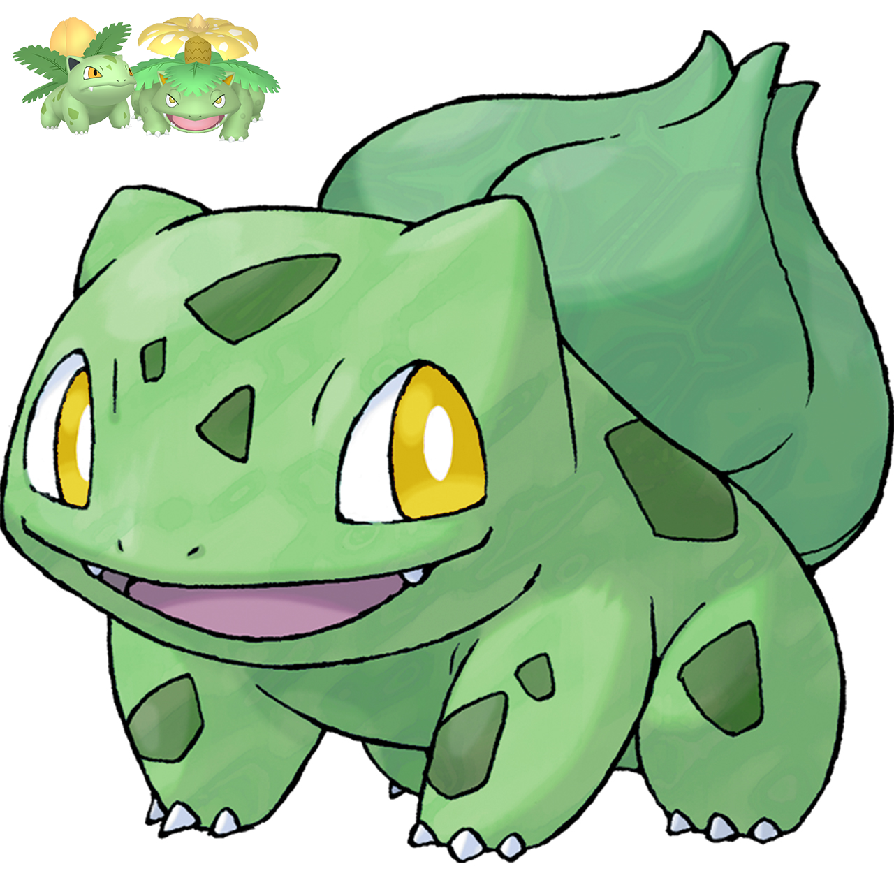 Shiny re-colour: Bulbasaur line (gen 3 forced evo) by ShinyDexProject on  DeviantArt