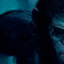 King Caesar. Dawn of the planet of the apes