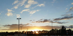 Between the trees and sky, the Sun says Goodbye!