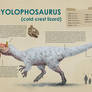 Cryolophosaurus infographic