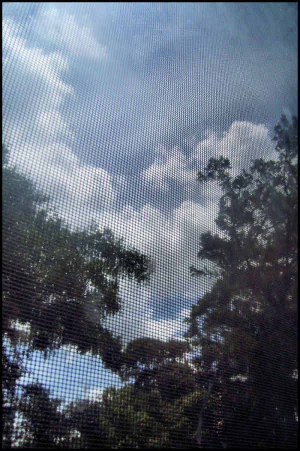 Screen and Sky II