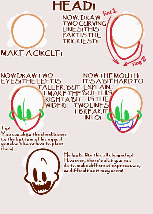 Head Tutorial by catfoxanimations on DeviantArt