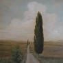 cypress tree