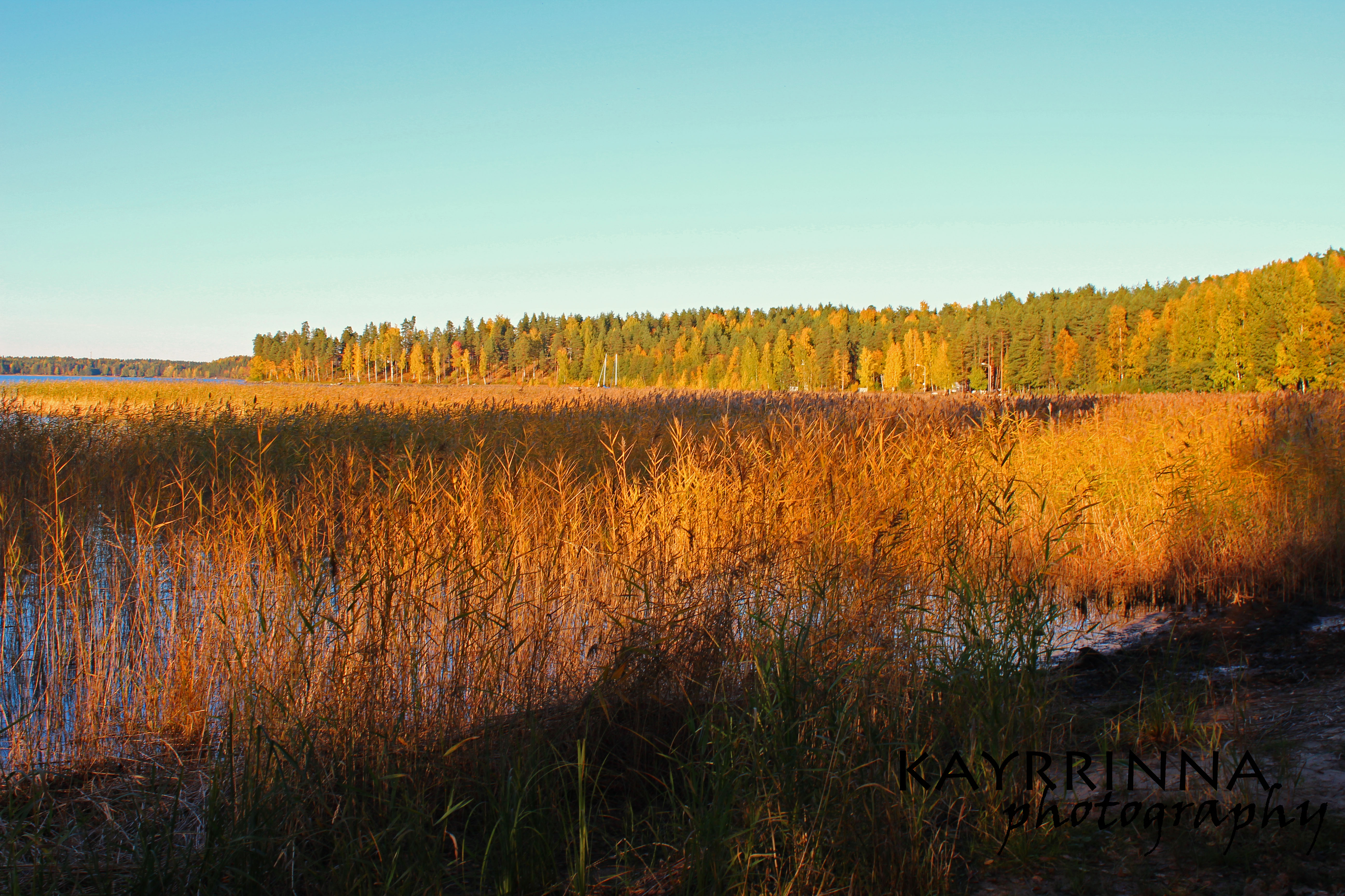 An Autumn Day