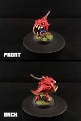 Squig - Front+Back