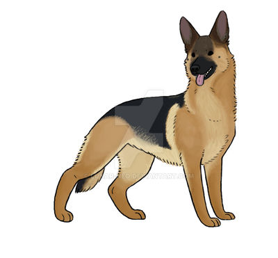 German Shepard Card Thing