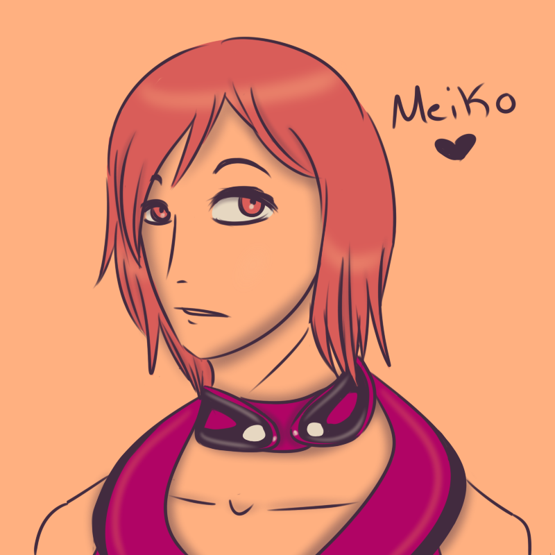 Meiko Pallet 18