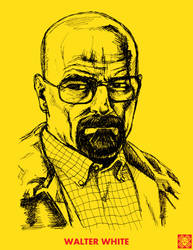 Walter White Portrait