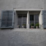 The Window
