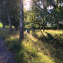 A glimpse of light