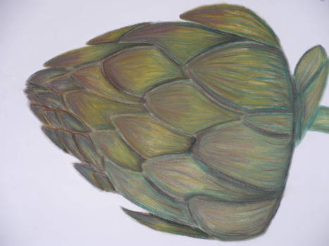 Artichoke