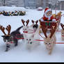 Santa and reindeer cats