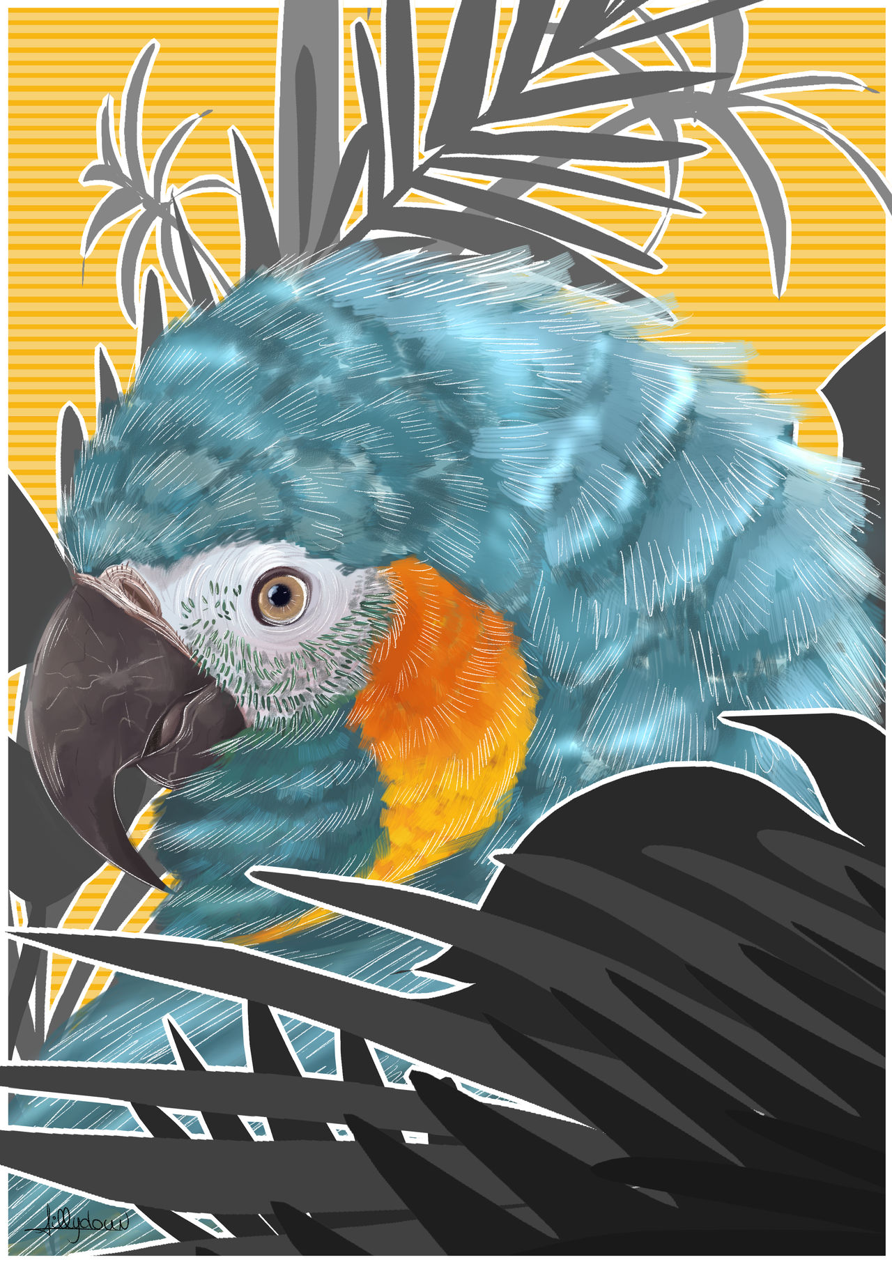 Macaw painting