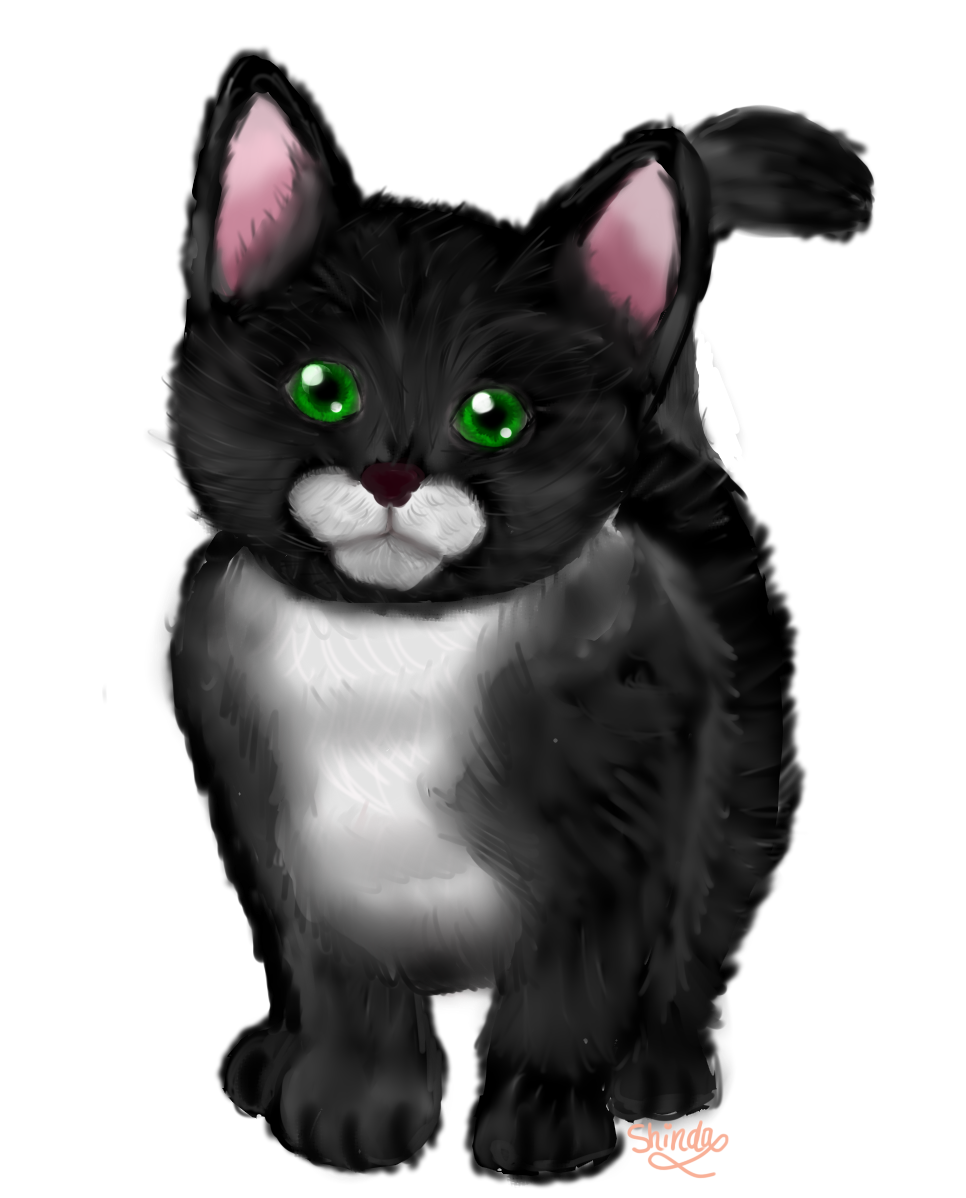 Render Cute Black Cat with Green Eyes by ShindaPika on DeviantArt