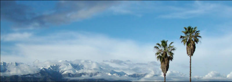 Two Palm Trees with Mountain