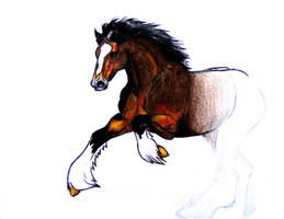 Draft horse