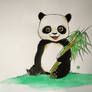 Panda colored