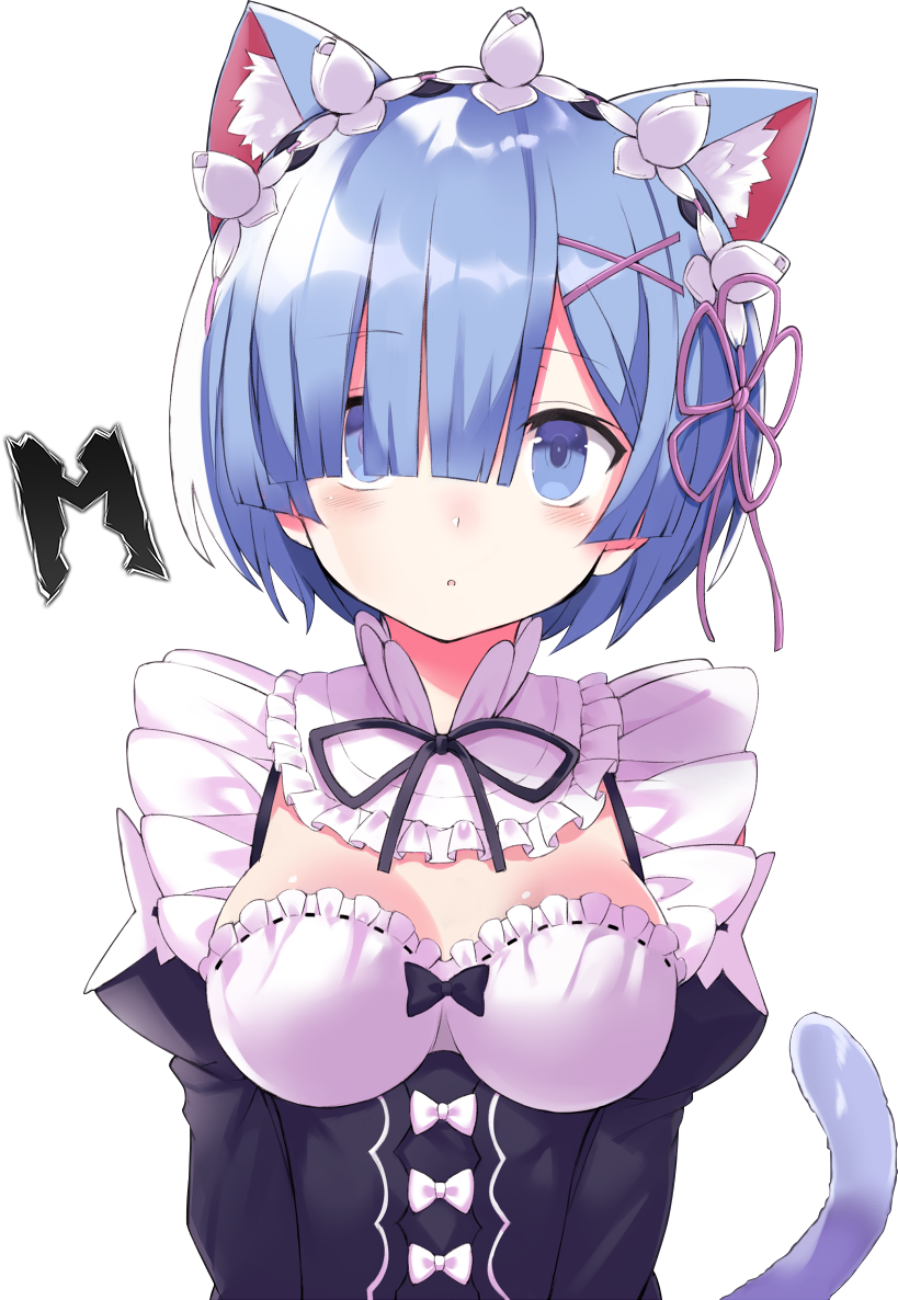 Rezero Neko