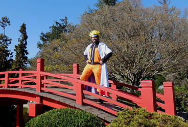 Naruto Claims The Bridge