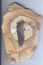 Eagle on Sandstone