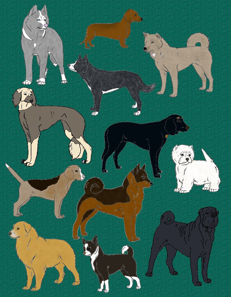 12 ADOPTABLES 2012