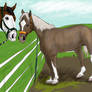 Rodeo, meet your new family