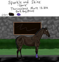 SMS Sparkle and Shine REF Sheet