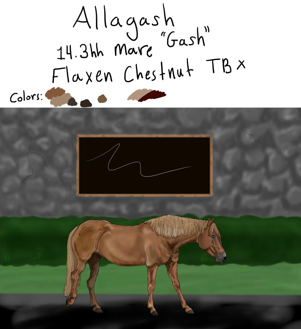 SMS Allagash REF Sheet