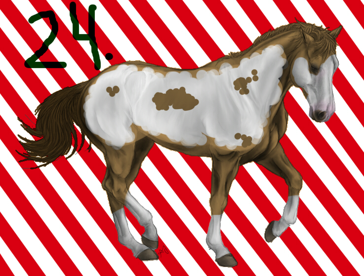 Horse Designs Christmas Advent! CLOSED