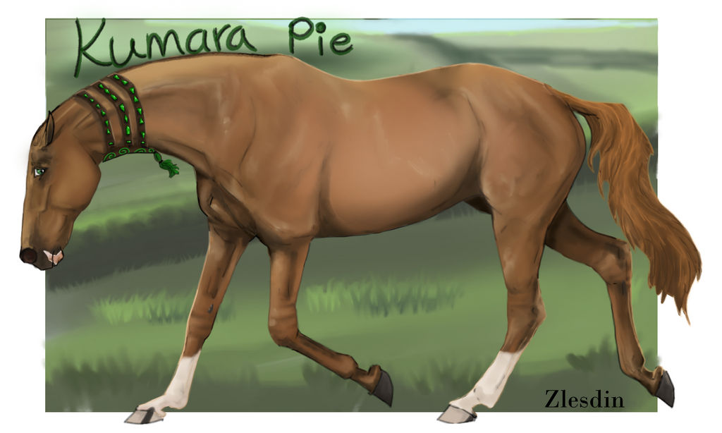 Kumara Pie Reference Sheet