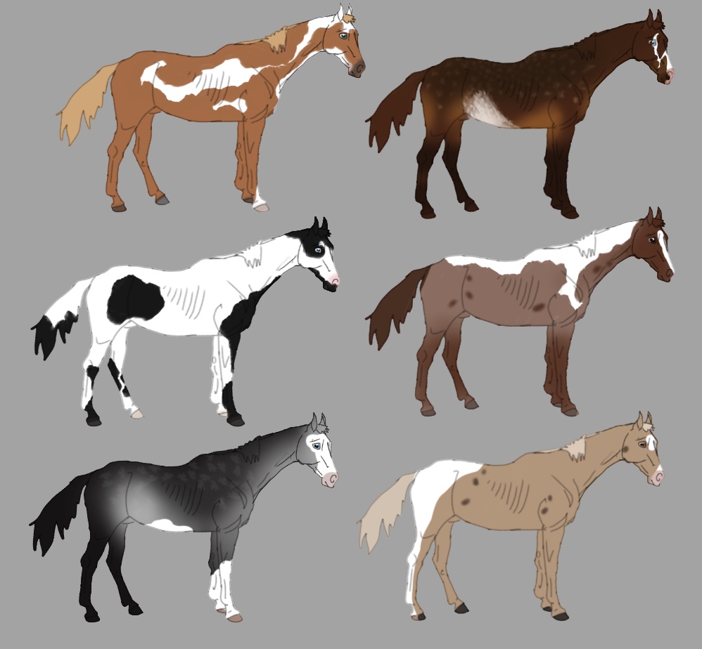 15 points Adopts 4/6 Open