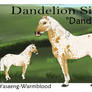 Dandelion Silk
