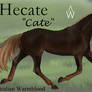LNS Hecate