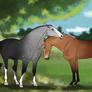 Tender Moment