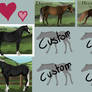 Valentines Day Custom Bloodline Adopts - 1/4 OPEN