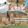 Dream Sketches
