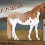 Larchenlied