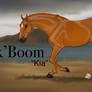 Sk`Boom