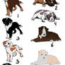 Dog adopts - 50 points - 5/8 OPEN