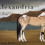 Alexandria
